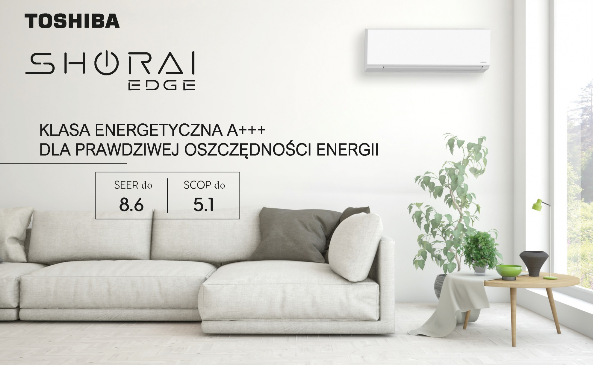 TOSHIBA SHORAI EDGE white.jpg